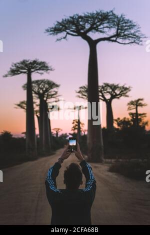 Madagascar - 6 JUILLET 2019 : de derrière un homme moderne en tenue décontractée, prendre des photos sur un smartphone tout en se tenant sur la route rurale par de grands baobabs au crépuscule Banque D'Images