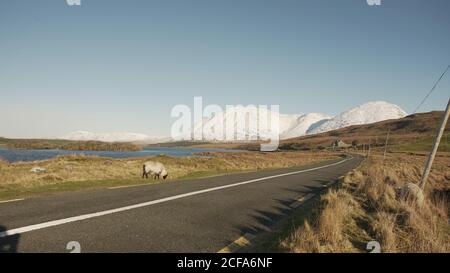 Paysage pittoresque de la route asphaltée le long de la rivière menant aux montagnes Et pasteurs de moutons isolés sur le bord de la route en Irlande Banque D'Images