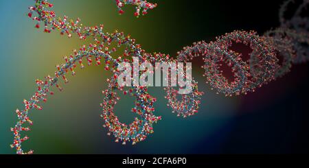 Chaîne d'acide ribonucléique dont l'acide désoxyribonucléique ou l'ADN est composé - illustration 3d Banque D'Images
