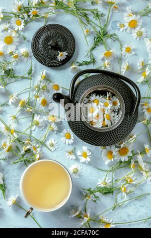 De dessus pot de thé camomille servi sur une tasse rustique avec fleurs fraîches sur fond bleu Banque D'Images