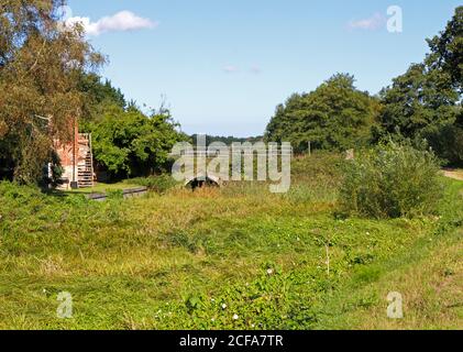 Vue sur le North Walsham et le canal de Dilham, autrefois disused et surcultivés, à Royston Bridge, North Walsham, Norfolk, Angleterre, Royaume-Uni. Banque D'Images