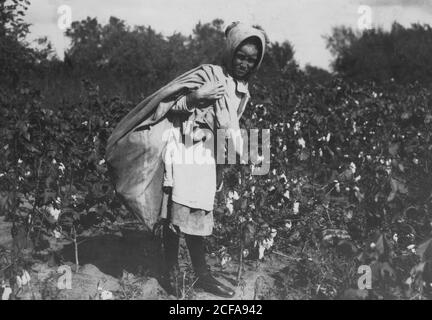 Cleo Campbell, 9 ans, prend 75 à 100 livres de coton par jour. Banque D'Images