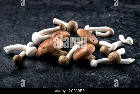 Angle élevé de petite pile de champignons Champignon entiers crus avec des chapeaux blancs et bruns sur une table en marbre noir Banque D'Images