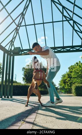 Homme courant et jouant avec son chien Boxer dans un parc Banque D'Images