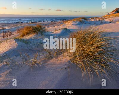 Hörnum-Odde (Hörnum Odde / Hörnem-or), Hörnum (Hörnem / Hørnum), Sylt Paysage, Kreis Nordfriesland, Schleswig-Holstein, Allemagne, Sylt (Söl), Nord Banque D'Images