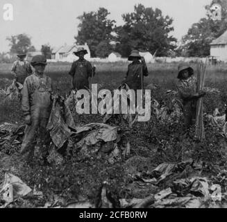 Rassemblement du groupe à la ferme du tabac de Daniel Barrett, Spottsville, Ky. Banque D'Images