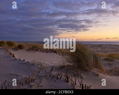 Hörnum-Odde (Hörnum Odde / Hörnem-or), Hörnum (Hörnem / Hørnum), Sylt Paysage, Kreis Nordfriesland, Schleswig-Holstein, Allemagne, Sylt (Söl), Nord Banque D'Images