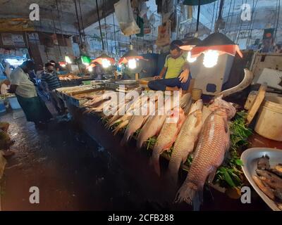 Le poisson est la principale source de protéines animales pour les populations bangladaises. Les vendeurs de poisson vendent des prises de poisson provenant d'eau douce et saumâtre. Banque D'Images