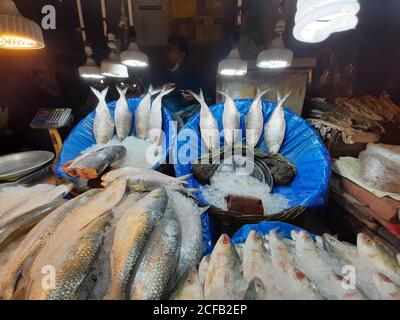 Le poisson est la principale source de protéines animales pour les populations bangladaises. Les vendeurs de poisson vendent des prises de poisson provenant d'eau douce et saumâtre. Banque D'Images