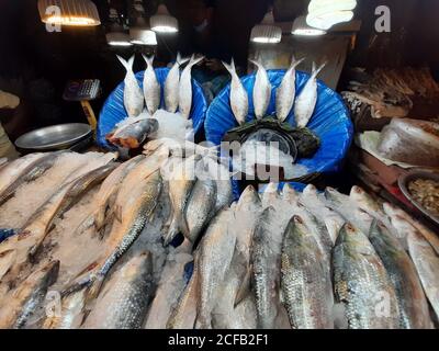 Le poisson est la principale source de protéines animales pour les populations bangladaises. Les vendeurs de poisson vendent des prises de poisson provenant d'eau douce et saumâtre. Banque D'Images