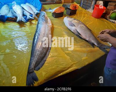 Le poisson est la principale source de protéines animales pour les populations bangladaises. Les vendeurs de poisson vendent des prises de poisson provenant d'eau douce et saumâtre. Banque D'Images