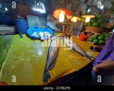 Le poisson est la principale source de protéines animales pour les populations bangladaises. Les vendeurs de poisson vendent des prises de poisson provenant d'eau douce et saumâtre. Banque D'Images