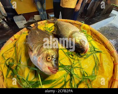 Le poisson est la principale source de protéines animales pour les populations bangladaises. Les vendeurs de poisson vendent des prises de poisson provenant d'eau douce et saumâtre. Banque D'Images