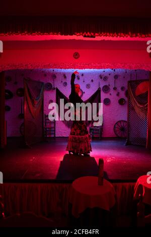 Danseuse en costume de flamenco debout en posture de danse Banque D'Images