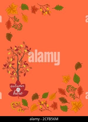 Arrière-plan naturel avec feuilles d'automne isolées dans un arrière-plan de couleur Banque D'Images