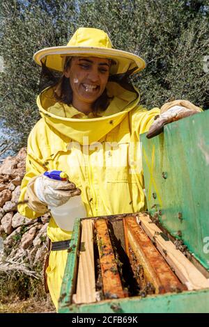 Bonne femme de garde-tête en port de protection jaune en utilisant le distributeur pendant pulvérisation de ruches avec des abeilles dans l'apilier Banque D'Images