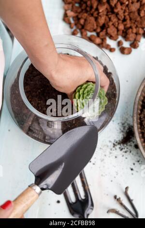 jardinier sans visage debout à la table et plantant succulent dans le sol dans cuve en verre Banque D'Images