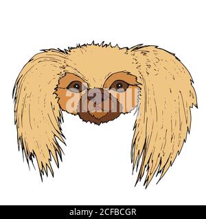 Joli visage chien de Pékin, isolé sur fond blanc Illustration de Vecteur
