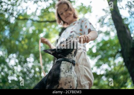une fille joue avec un adorable petit chien de taureau de frenchie dans le parc le jour d'été Banque D'Images