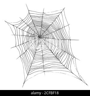 Dessin à la main décoratif belle toile d'araignée, dessin de bande dessinée sty Illustration de Vecteur