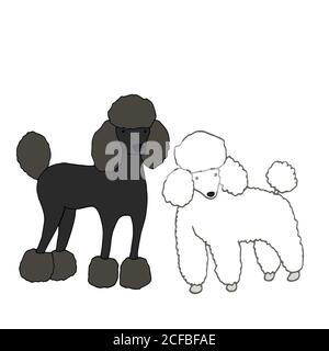 Deux jolis chiens, un noir, un deuxième blanc, isolé sur fond blanc, dessin à la main vectoriel, style de dessin animé, l'illustration animaux de compagnie fanny caniche. Illustration de Vecteur