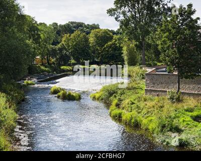 Échelle de poissons à Oliver's Weir, Morpeth, Northumberland, UK sur la rivière Wansbeck pour faciliter le passage du saumon et de la truite de mer. Banque D'Images