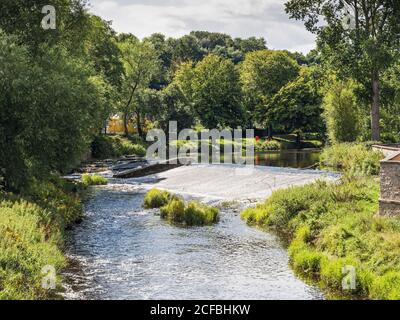 Échelle de poissons à Oliver's Weir, Morpeth, Northumberland, UK sur la rivière Wansbeck pour faciliter le passage du saumon et de la truite de mer. Banque D'Images