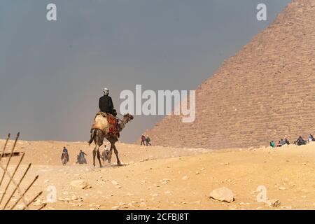 Un homme à dos de chameau se dirige vers la grande pyramide de gizeh, en Égypte Banque D'Images