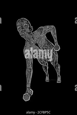 bodybuilding femelle dans les cartes de muscle faisant des push-up avec haltère dans fond blanc, illustration 3d Banque D'Images