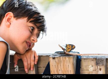 Jeune garçon regardant un papillon monarque reposant sur une balustrade de pont. Banque D'Images