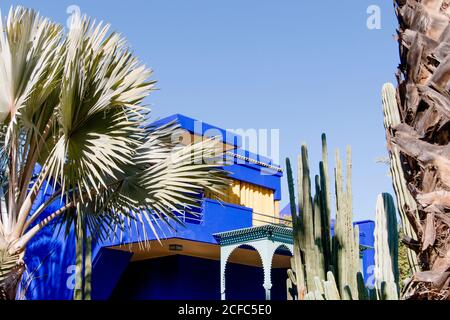 Jardin Majorelle jardin de palmiers à Marrakech par YSL Banque D'Images