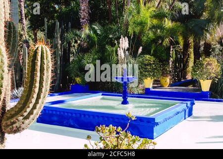 Jardin Majorelle jardin de palmiers à Marrakech par YSL Banque D'Images