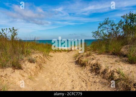 Chemin vers Kemil Beach sur une belle matinée de septembre. Parc national d'Indiana Dunes, Indiana, États-Unis Banque D'Images