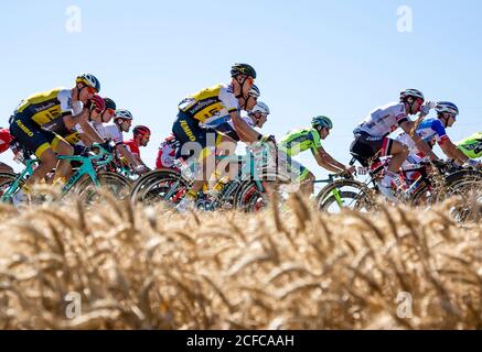 Saint-Quentin-Fallavier,France - Juillet 16, 2016 : le peloton équitation dans une plaine de blé au cours de l'étape 14 du Tour de France 2016. Banque D'Images