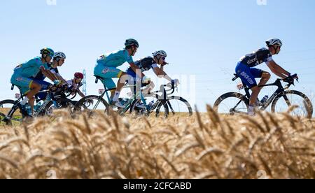 Saint-Quentin-Fallavier,France - Juillet 16, 2016 : le peloton équitation dans une plaine de blé au cours de l'étape 14 du Tour de France 2016. Banque D'Images