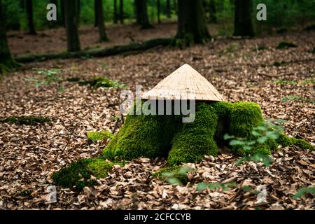 Chapeau conique asiatique placé sur une souche de mousse verte au milieu de sec feuilles en forêt d'automne Banque D'Images