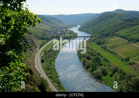 Vue vers Ediger-Eller, Calmont via ferrata entre Ediger-Eller et Bremm, vallée de la Moselle, Rhénanie-Palatinat, Allemagne Banque D'Images