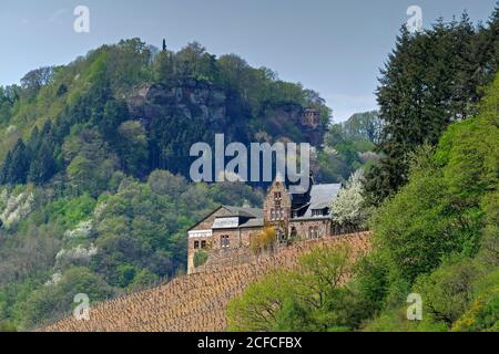 Cave de vinification Würtzberg à Serrig et Kasteler Klause, Sartal, Rhénanie-Palatinat, Allemagne Banque D'Images