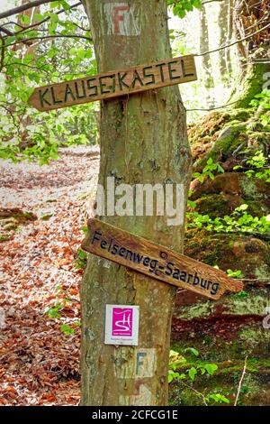 Saar-Hunsrück Dream boucles, Kasteler Felsenpfad, Kastel-Staadt, Vallée de la Sarre, Rhénanie-Palatinat, Banque D'Images