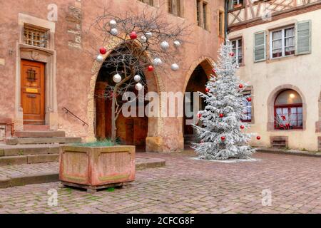 Sapin de Noël sur Munsterplatz, Colmar, Grand est, Alsace-Champagne-Ardenne-Lorraine, France Banque D'Images