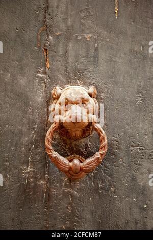 Porte K.O., tête d'animal, Lucca, Toscane, Italie Banque D'Images