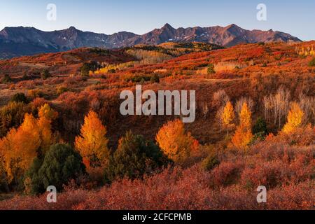 Dallas diviser le paysage pittoresque avec les arbres d'Aspen et les couleurs d'automne dans les montagnes de San Juan, Colorado