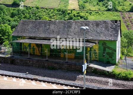 Europe, Europe, Allemagne, Rhénanie-Palatinat, district de Cochem-Zell Moselle vallée, Moselsteig, crampes de Moselle, Ediger-Eller, Banque D'Images