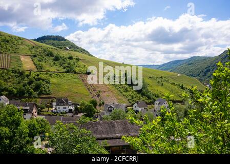 Europe, Europe, Allemagne, Rhénanie-Palatinat, district de Cochem-Zell Moselle vallée, Moselsteig, crampes de Moselle, Ediger-Eller, Banque D'Images