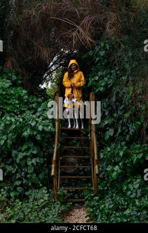 Femme aux cheveux longs en veste jaune et pointeur anglais prévoyant de marcher sur des escaliers en bois dans la barrière verte de plante en journée humide Banque D'Images