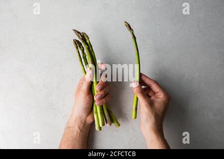 Cuire en tenant le bouquet d'asperges fraîches Banque D'Images