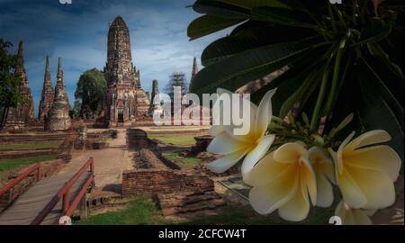 Branche d'arbre avec des fleurs blanches accrochées contre des ruines de l'ancien temple le jour nuageux en Thaïlande Banque D'Images