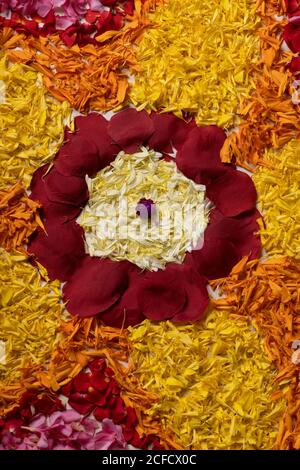 Décoration de fleurs fraîches, fond du festival Kerala Onam. Photo Banque D'Images