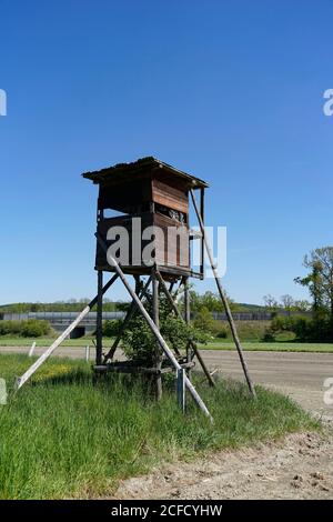 Allemagne, Bavière, haute-Bavière, quartier Altötting, bord de la forêt, prairie, siège haut, cabine de chasseur Banque D'Images