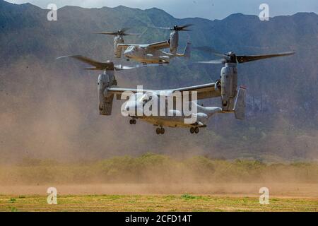 Deux Ospreys MV-22 avec l'escadron de Tiltrotor de milieu marin 363 arrivent à la zone d'entraînement du corps des Marines à Bellows, à Hawaï, le 1er septembre 2020. À bord de l'avion se trouvait le secrétaire américain à la Défense, Mark T. Esper, et son parti officiel. Esper a effectué la visite pour assister à une démonstration du groupe de travail Marine Air-Ground, intégrant des éléments de capacités aéronautiques, terrestres et amphibies. (É.-U. Photo du corps marin par Cpl. Jacob Wilson) Banque D'Images